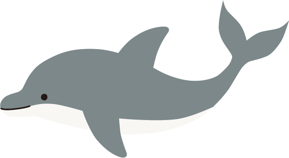 イルカの画像