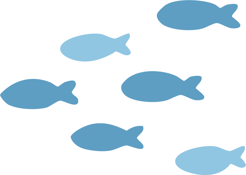 魚の群れの画像